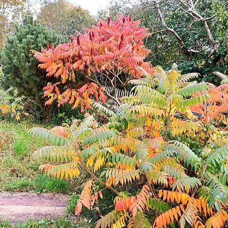 Сasa de vacaciones Seefreude & Stilbruch Saalburg