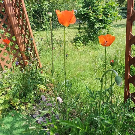 Seefreude & Stilbruch *