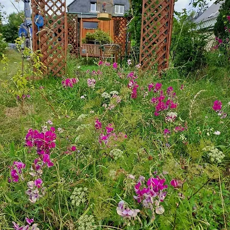 Seefreude & Stilbruch Saalburg