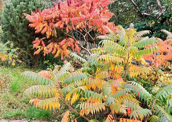 Vakantiehuis Seefreude & Stilbruch Saalburg