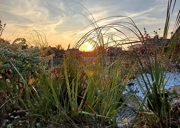 Seefreude & Stilbruch