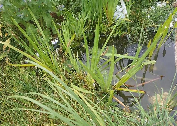 Vakantiehuis Seefreude & Stilbruch *