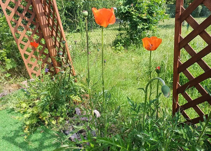 Seefreude & Stilbruch *