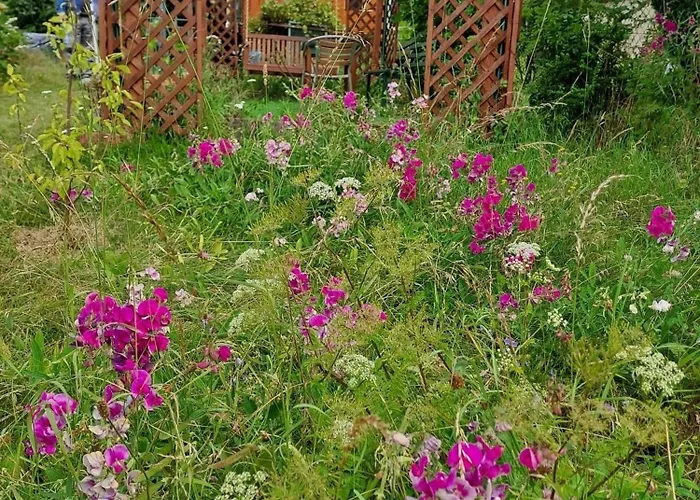 Seefreude & Stilbruch Saalburg