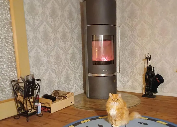 Seefreude & Stilbruch * Saalburg